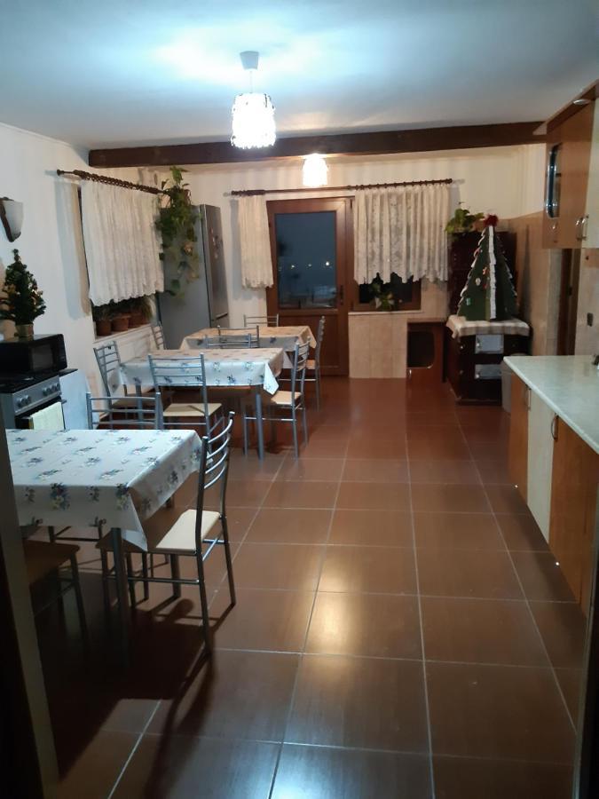 Agropensiunea Caprioara Mintia Extérieur photo
